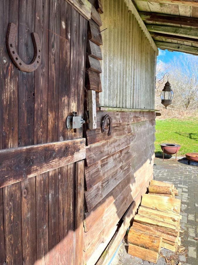 Altes Zollhaus Apartment Hallschlag Bagian luar foto