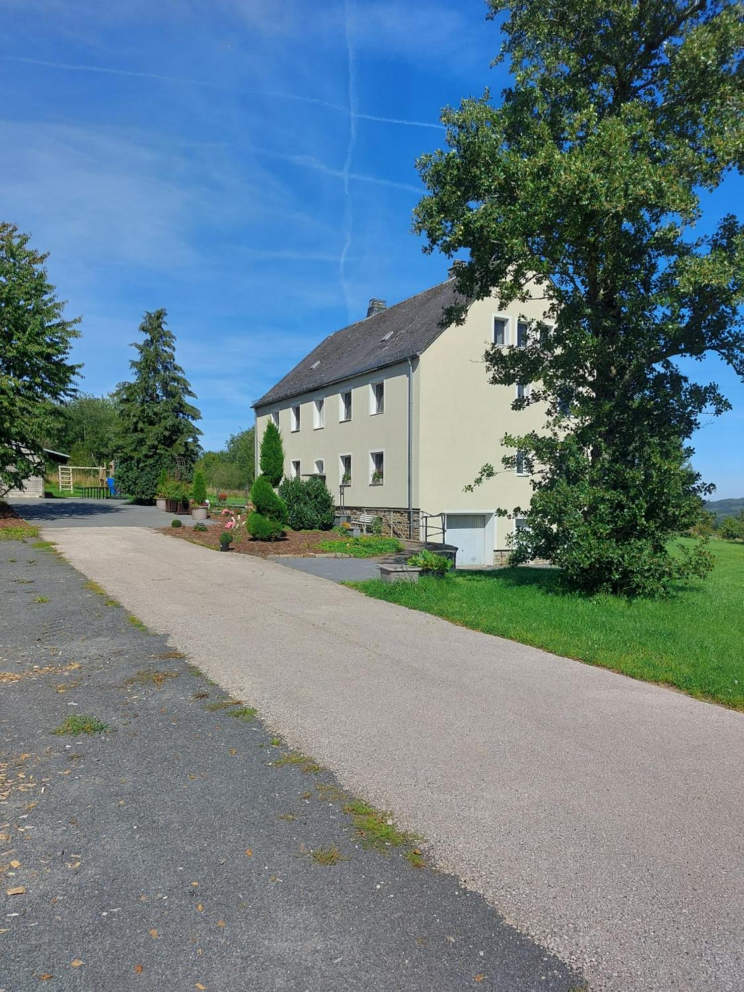 Altes Zollhaus Apartment Hallschlag Bagian luar foto